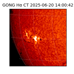 gong - 2025-06-20T14:00:42