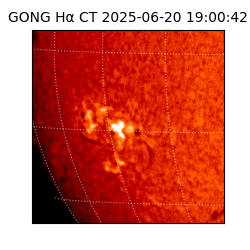 gong - 2025-06-20T19:00:42