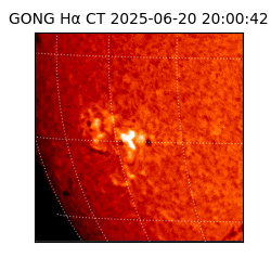 gong - 2025-06-20T20:00:42