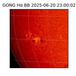 gong - 2025-06-20T23:00:02