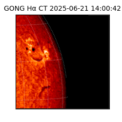 gong - 2025-06-21T14:00:42