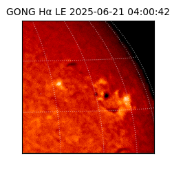 gong - 2025-06-21T04:00:42