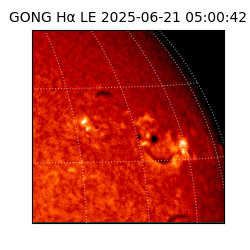 gong - 2025-06-21T05:00:42