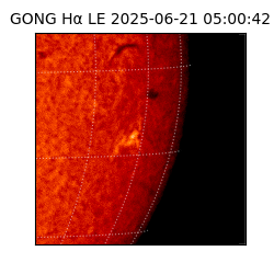 gong - 2025-06-21T05:00:42