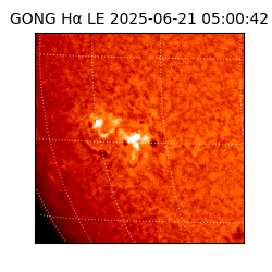 gong - 2025-06-21T05:00:42