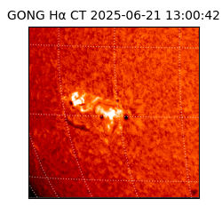 gong - 2025-06-21T13:00:42