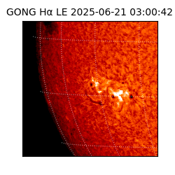 gong - 2025-06-21T03:00:42