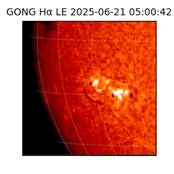 gong - 2025-06-21T05:00:42