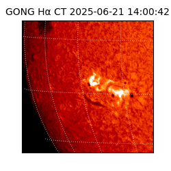 gong - 2025-06-21T14:00:42