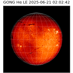 gong - 2025-06-21T02:02:42