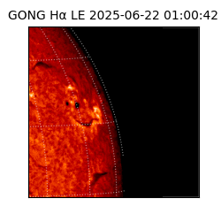 gong - 2025-06-22T01:00:42
