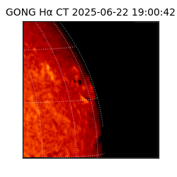 gong - 2025-06-22T19:00:42