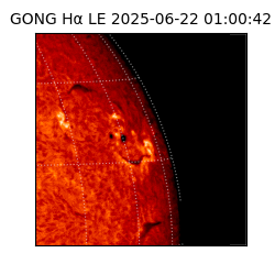 gong - 2025-06-22T01:00:42