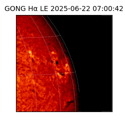 gong - 2025-06-22T07:00:42