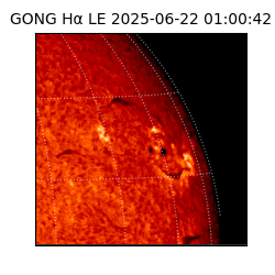 gong - 2025-06-22T01:00:42