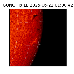 gong - 2025-06-22T01:00:42