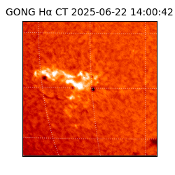 gong - 2025-06-22T14:00:42