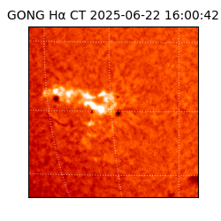 gong - 2025-06-22T16:00:42