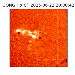 gong - 2025-06-22T20:00:42
