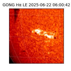 gong - 2025-06-22T06:00:42