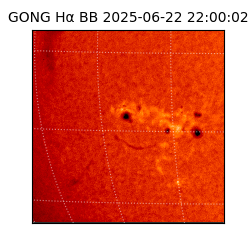 gong - 2025-06-22T22:00:02