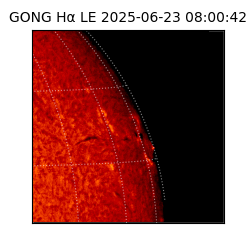 gong - 2025-06-23T08:00:42