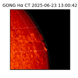 gong - 2025-06-23T13:00:42