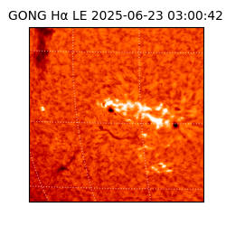gong - 2025-06-23T03:00:42