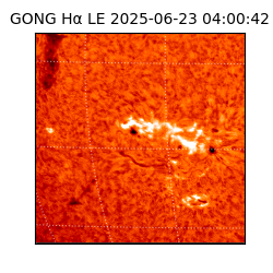 gong - 2025-06-23T04:00:42