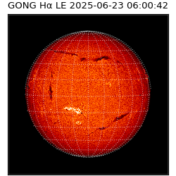 gong - 2025-06-23T06:00:42