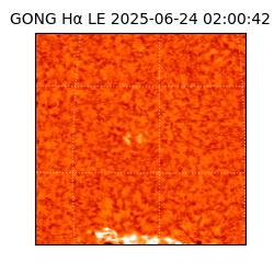 gong - 2025-06-24T02:00:42