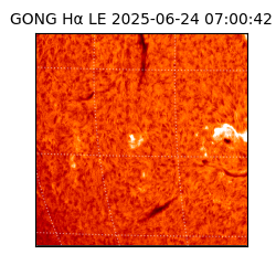 gong - 2025-06-24T07:00:42