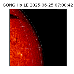 gong - 2025-06-25T07:00:42