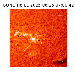 gong - 2025-06-25T07:00:42