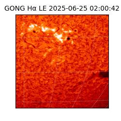 gong - 2025-06-25T02:00:42