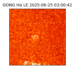 gong - 2025-06-25T03:00:42