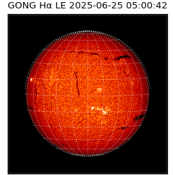 gong - 2025-06-25T05:00:42