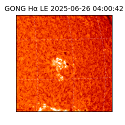 gong - 2025-06-26T04:00:42