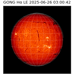 gong - 2025-06-26T03:00:42
