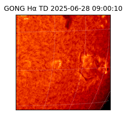 gong - 2025-06-28T09:00:10