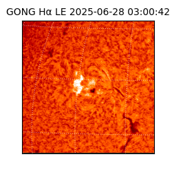 gong - 2025-06-28T03:00:42