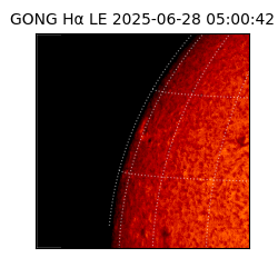 gong - 2025-06-28T05:00:42