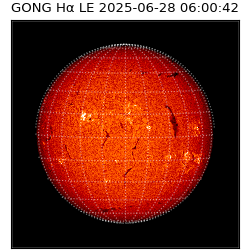 gong - 2025-06-28T06:00:42