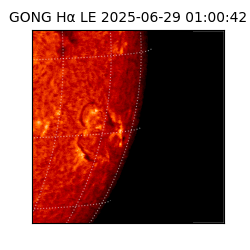 gong - 2025-06-29T01:00:42