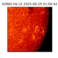 gong - 2025-06-29T01:00:42