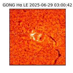 gong - 2025-06-29T03:00:42