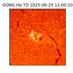 gong - 2025-06-29T12:00:10