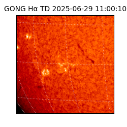 gong - 2025-06-29T11:00:10