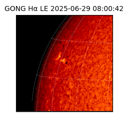 gong - 2025-06-29T08:00:42