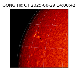 gong - 2025-06-29T14:00:42